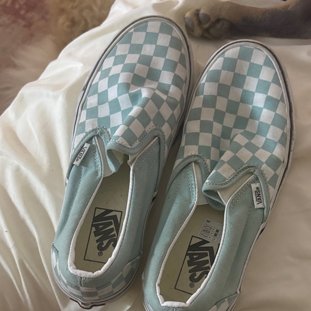 Vans Mint Green Checkered Slip-On Shoes
